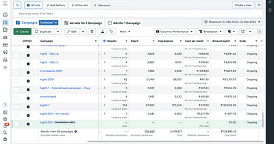 generated leads threw Instagram and facebook ads - Digital Strategy