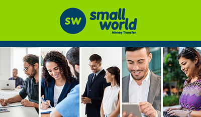 Paid Performance Advertising for Small World - Online Advertising