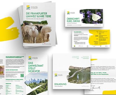 BRANDING UND CORPORATE DESIGN - Markenbildung & Positionierung