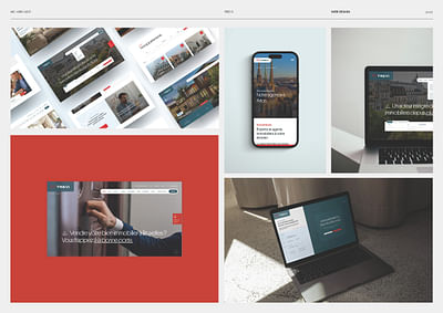 Webdesign & Ads - Groupe Emeia / Trevi - Référencement naturel