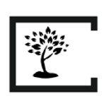 Bucare Consultancy