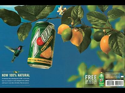 Humming-bird - Advertising