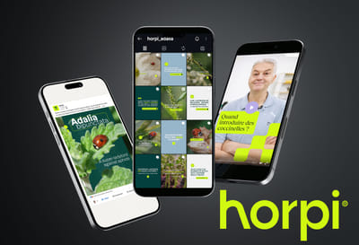 Horpi - Stratégie, social media & influence, whitepaper - Content-Strategie