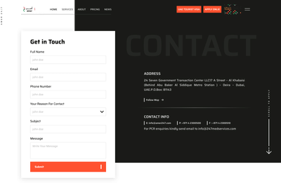 AMER247 — Government and Immigration Services Website - Desarrollo de Software