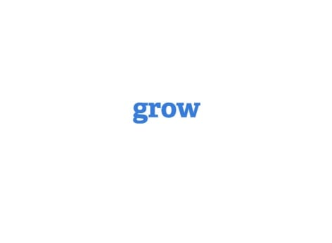 Grow Digital Services