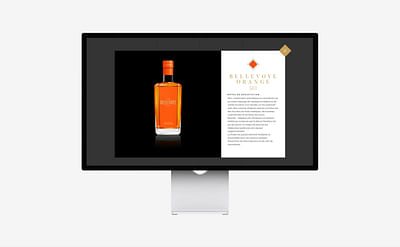 BELLEVOYE – CRÉATION SITE INTERNET - Design & graphisme