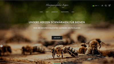 Shop Erstellung - E-mail Marketing