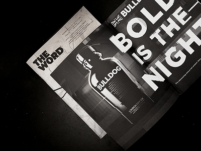 Bold is the night - Stratégie de contenu