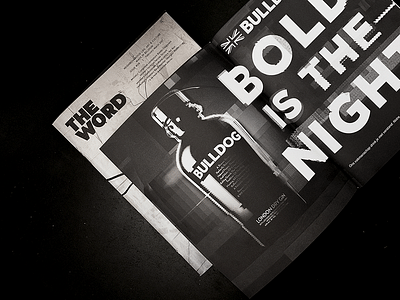 Bold is the night - Content Strategy