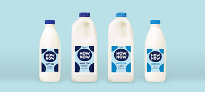 How Now Milk branding and packaging - Graphic Design