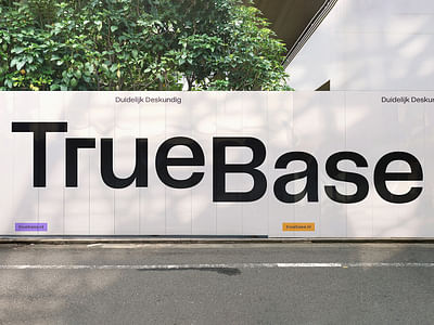 TrueBase - Branding & Positionering