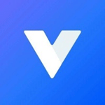 Virtuoso logo