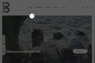 Webshop-Gestaltung - Website Creation