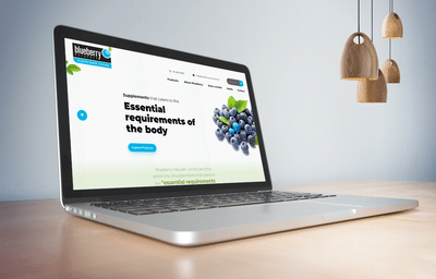 Blue Berry Naturals - E-commerce