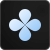 Focus Dev