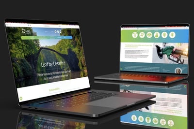 Leaf by Lesaffre : site d'une marque d'ingrédients de fermentation - Creación de Sitios Web