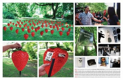STRAWBERRY FIELDS - Advertising