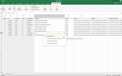 Excel Add-In With Access to Real-time Data via API - Datenberatung