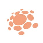 BonVerse logo