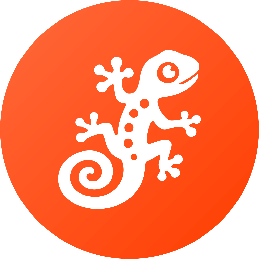 Gekkos Webdesign Osnabrück