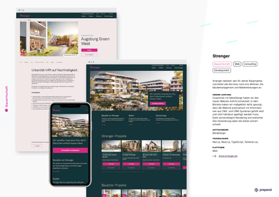 Strenger Online Platform - Webseitengestaltung