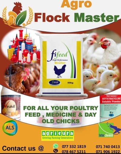 Banner for Agro Flock Masters - Graphic Design