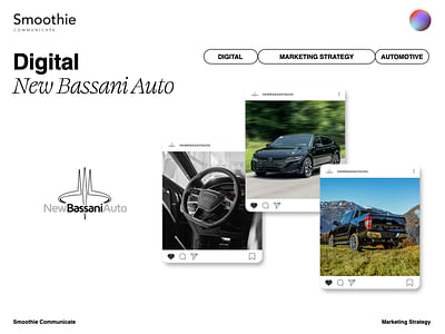 B2C Digital Strategy - New Bassani Auto - Marketing