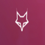 SilverFox Web Designers logo