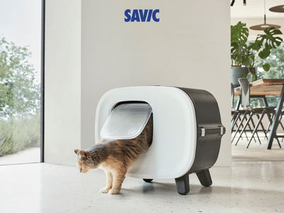 Savic - Branding & Positioning
