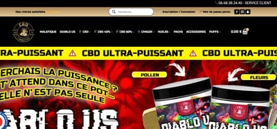Campagne SEO pour site CBD - Référencement naturel