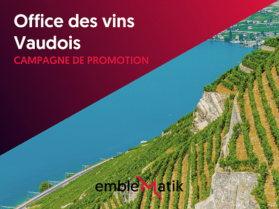 Campagne de promotion - Office des vins Vaudois - Estrategia digital