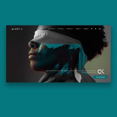 PROFIL C - Website Creation
