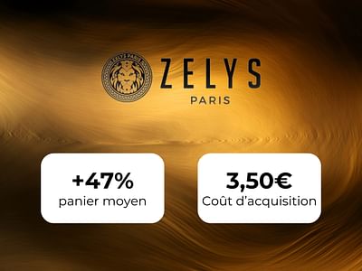 Collaboration Zelys Paris x Capsule B - Publicité en ligne