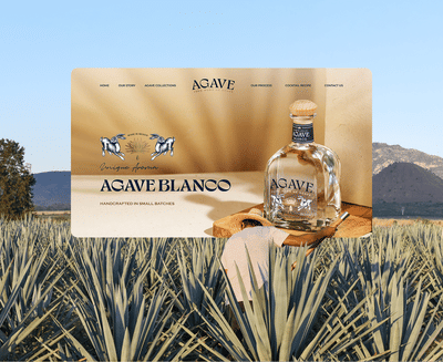 Agave - Création de site internet