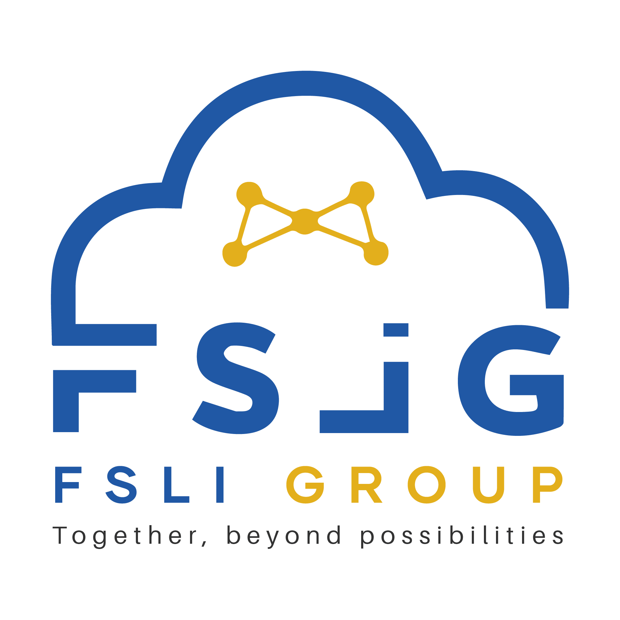 FSLI GROUP