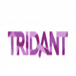 Tridant logo