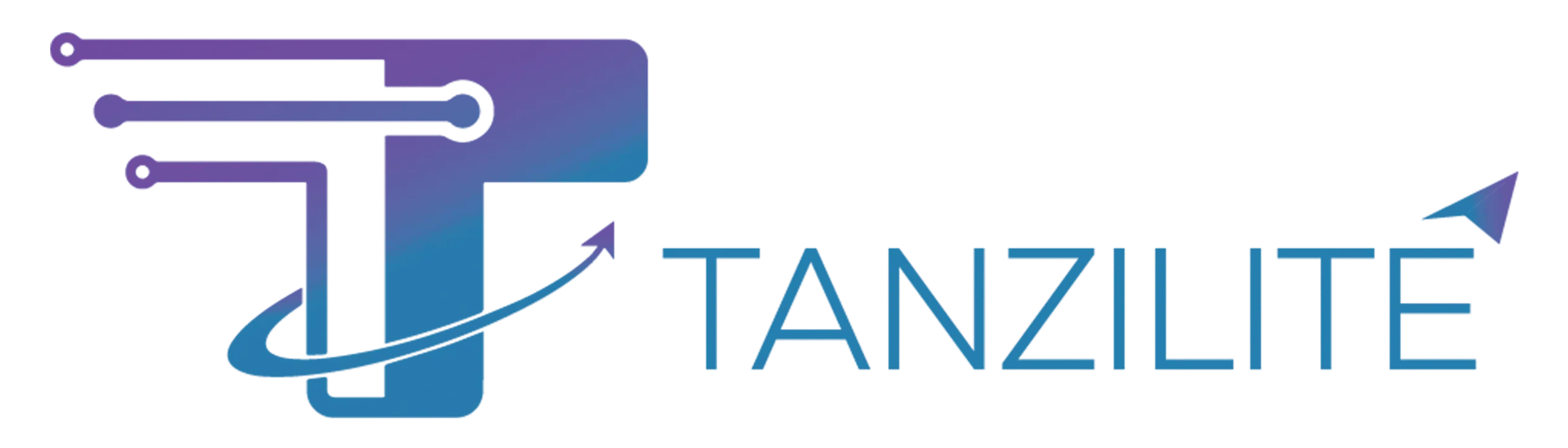 Tanzilite Digital Marketing Agency