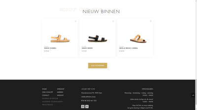 Walktheline.shoes - Administración web
