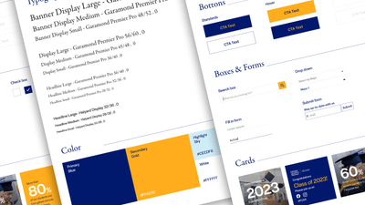 Website for Fulbright University - Website Creation