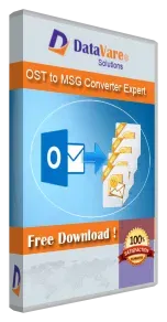 DataVare OST to MSG Converter - Software Development