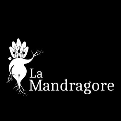 Mandragore