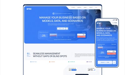 Enterprise Platform: Brand, Website and Product UI - Website Creation
