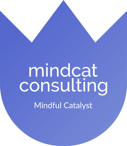 Mindcat Technology Consultants FZE