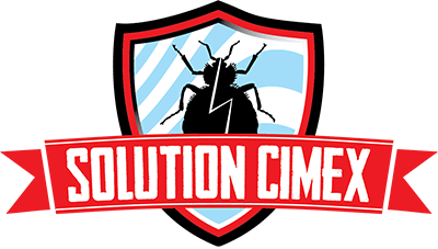 Cimex solution - SEO