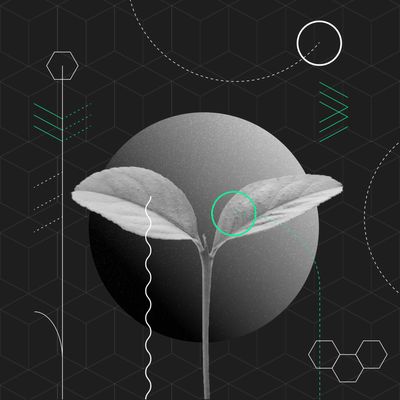Branding a natural product drug discovery platform - Animation