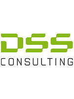 DSS Consulting