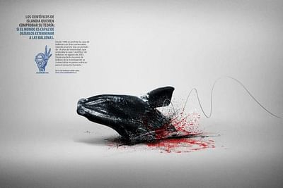 Whale, 2 - Advertising