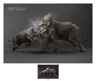 Maximum Impact - Rhino vs Elephant - Strategia digitale