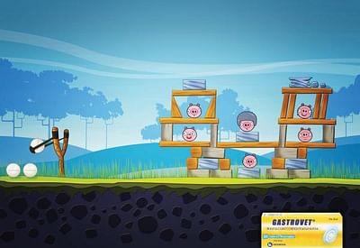Angry pigs - Website Creation