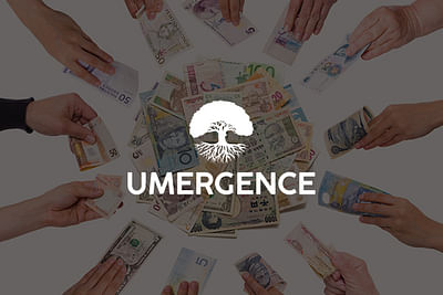 UMERGENCE - unique crowdfunding and project manage - Web analytics/Big data